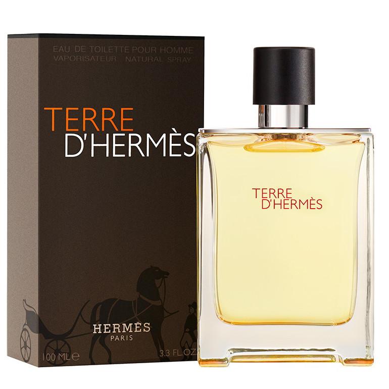 Terre D'Hermes by Hermes 100ml