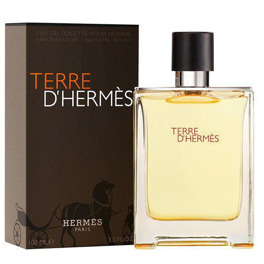 Terre D'Hermes by Hermes 100ml